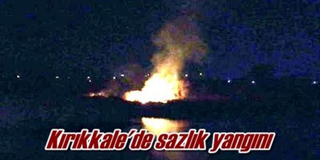 Kırıkkale´de sazlık yangını