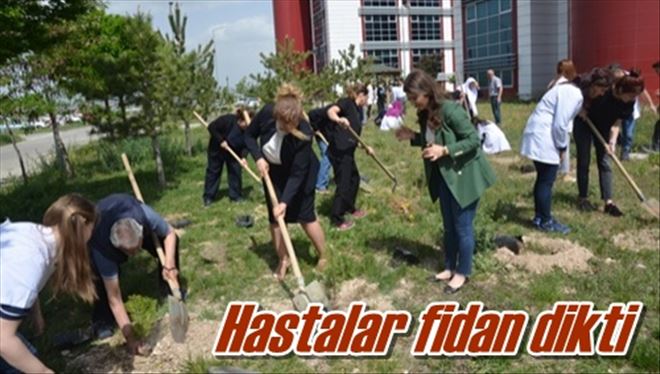 Hastalar fidan dikti