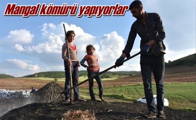 Mangal kömürü yapıyorlar