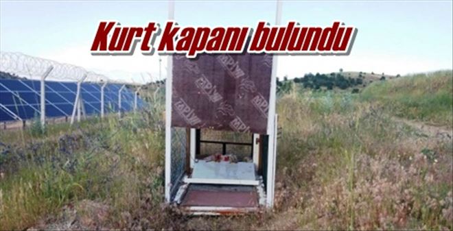 Kurt kapanı bulundu
