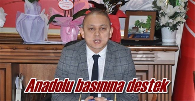 Anadolu basınına destek