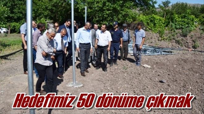 Hedefimiz 50 dönüme çıkmak