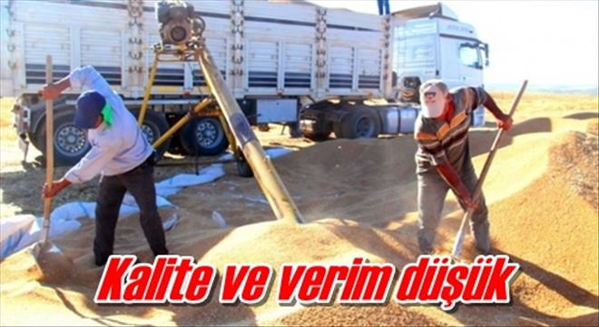 Kalite ve verim düşük