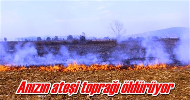 Anızın ateşi toprağı öldürüyor 