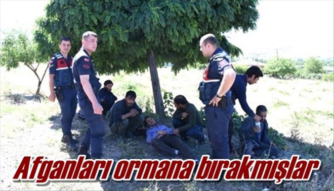 Afganları ormana bırakmışlar