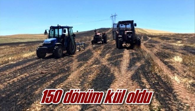 150 dönüm kül oldu