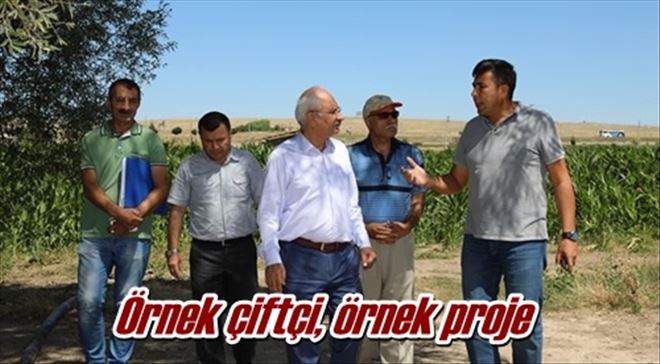 Örnek çiftçi, örnek proje