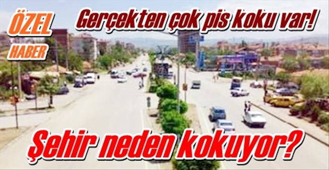 Şehir neden kokuyor?