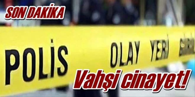 Vahşi cinayet