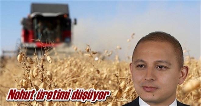 Nohut üretimi düşüyor