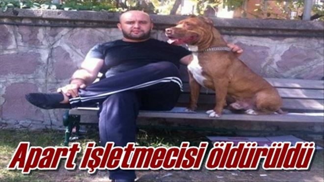 Apart işletmecisi öldürüldü