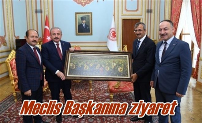 Meclis Başkanına ziyaret