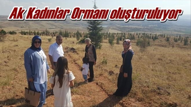 Ak Kadınlar Ormanı oluşturuluyor