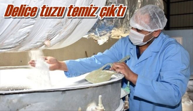 Delice tuzu temiz çıktı