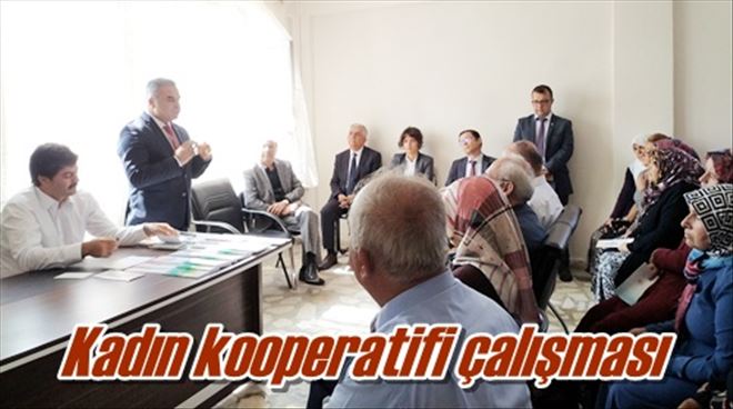 Kadın kooperatifi çalışması