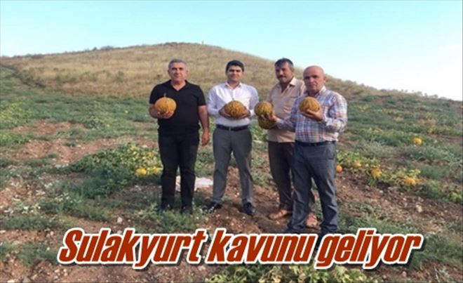 Sulakyurt kavunu geliyor