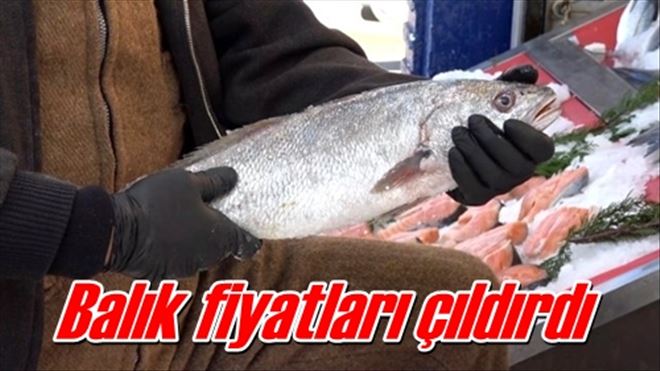 Balık fiyatları çıldırdı