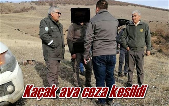 Kaçak ava ceza kesildi