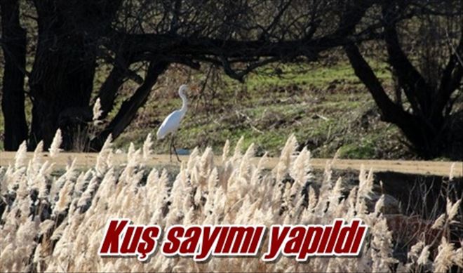 Kuş sayımı yapıldı