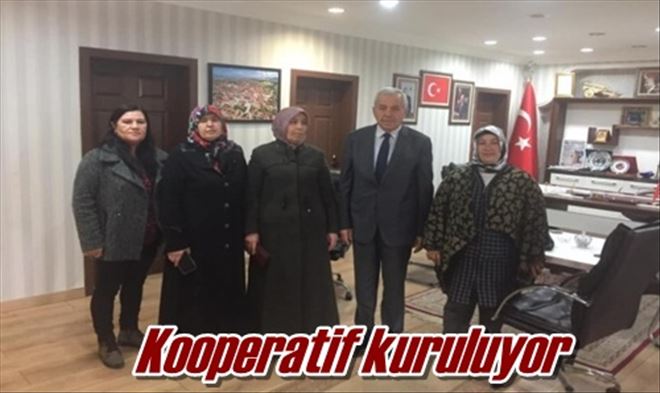Kooperatif kuruluyor