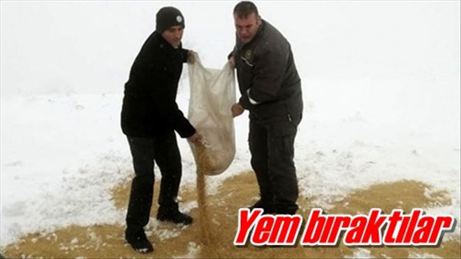 Yem bıraktılar