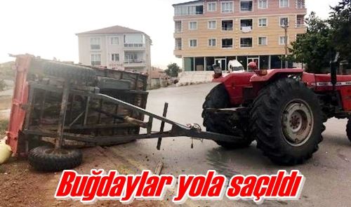 Buğdaylar yola saçıldı