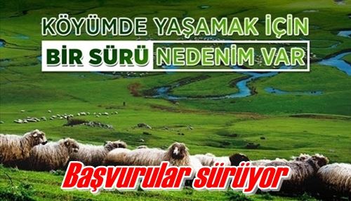 Başvurular sürüyor