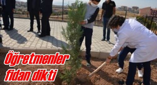 Öğretmenler fidan dikti