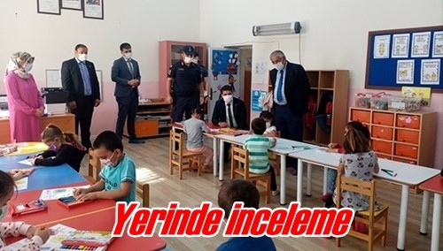 Yerinde inceleme 