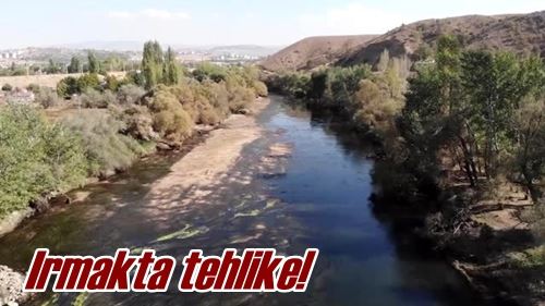 Irmakta tehlike!