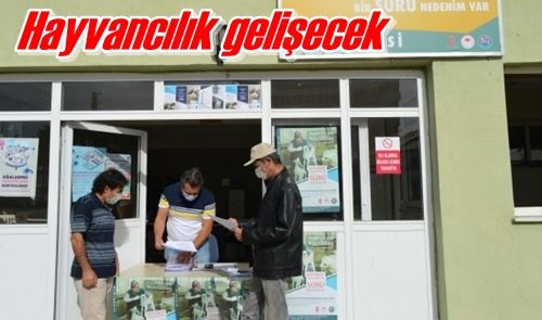 Hayvancılık gelişecek