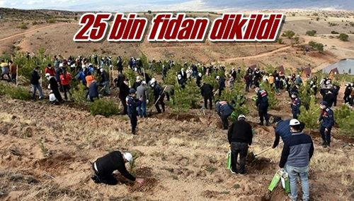 25 bin fidan dikildi