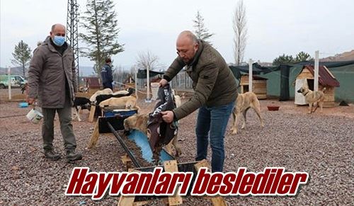 Hayvanları beslediler
