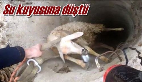 Su kuyusuna düştü