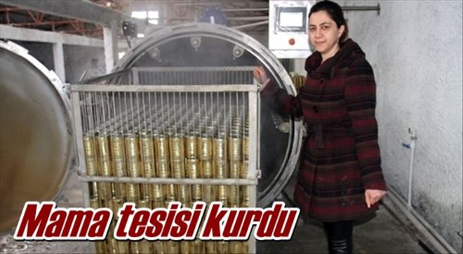 Mama tesisi kurdu