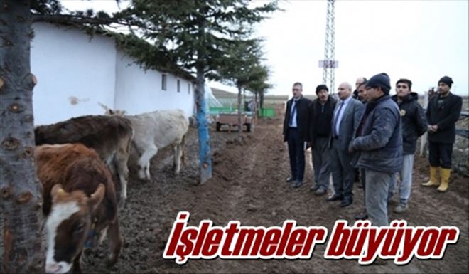 İşletmeler büyüyor