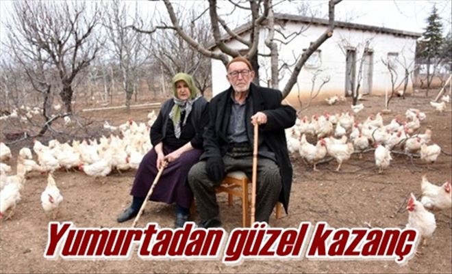 Yumurtadan güzel kazanç