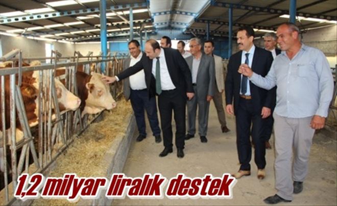 1,2 milyar liralık destek
