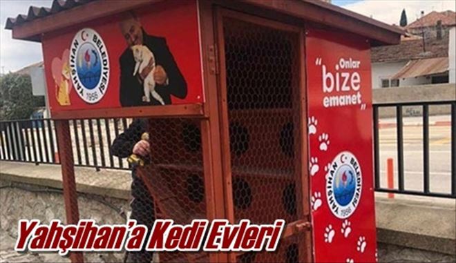 Yahşihan´a Kedi Evleri