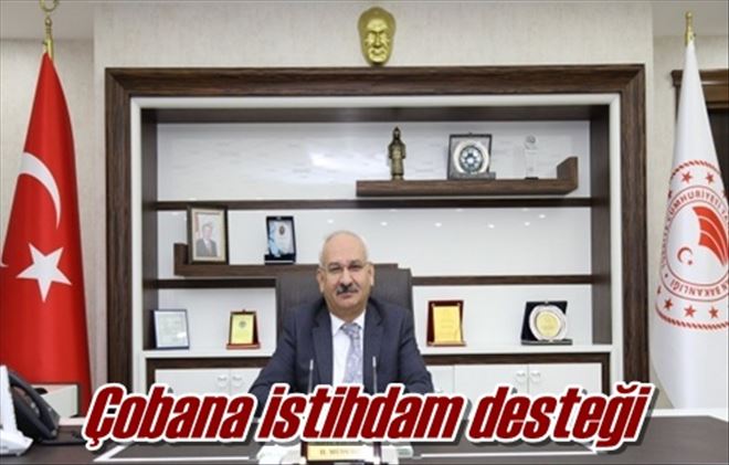 Çobana istihdam desteği