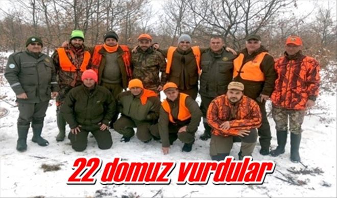 22 domuz vurdular