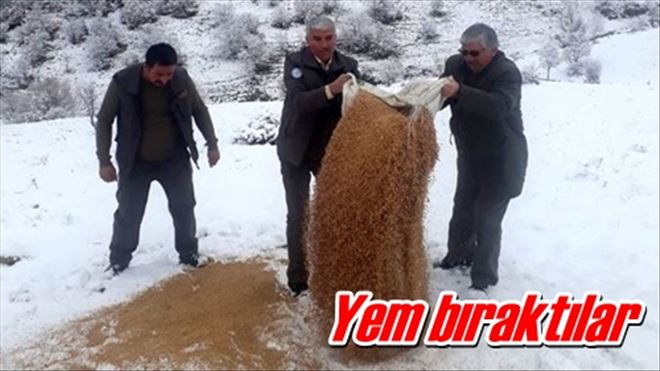 Yem bıraktılar