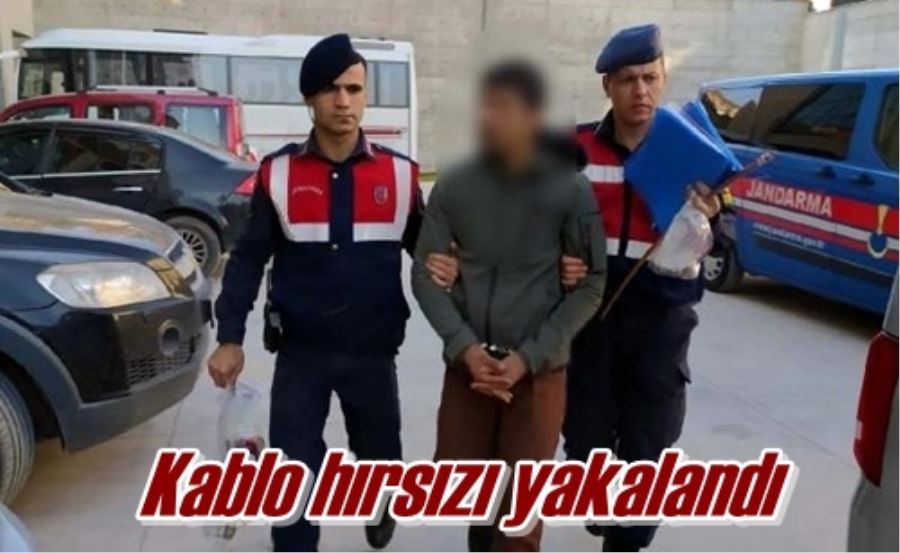 Kablo hırsızı yakalandı