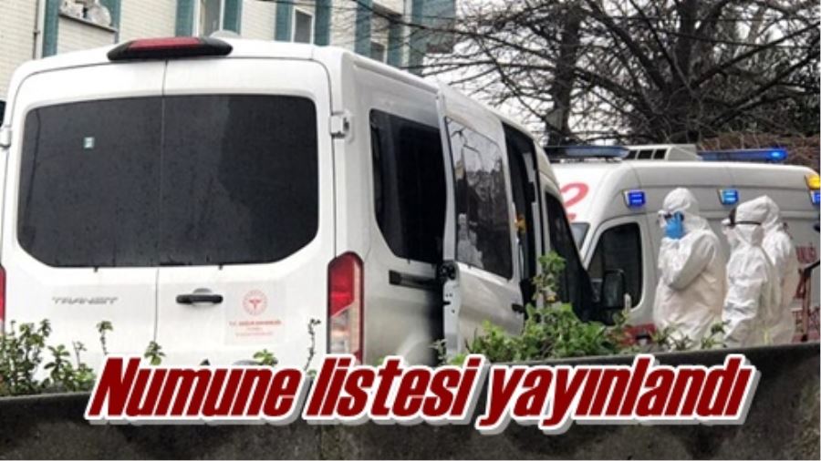 Numune listesi yayınlandı