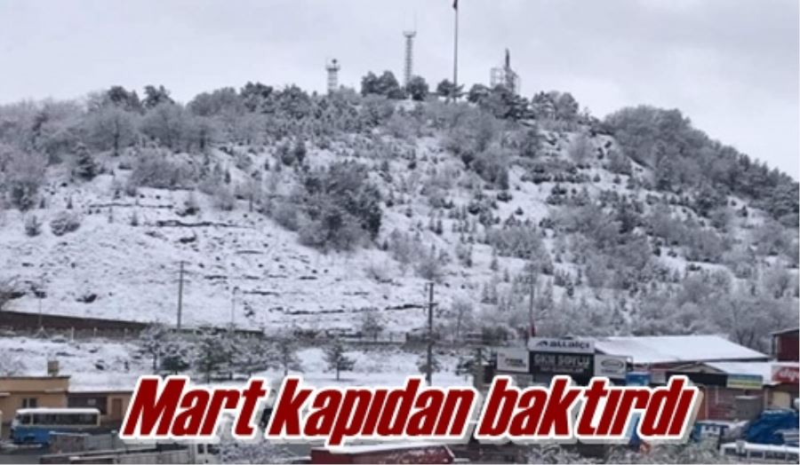 Mart kapıdan baktırdı