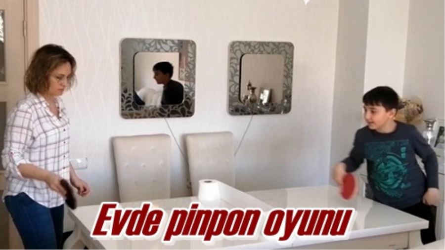 Evde pinpon oyunu