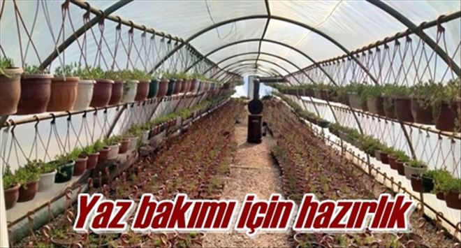 Yaz bakımı için hazırlık