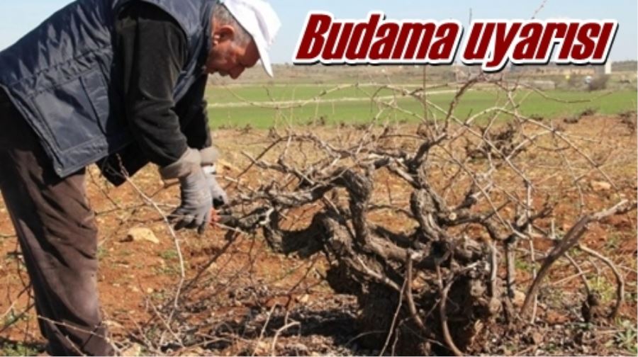Budama uyarısı