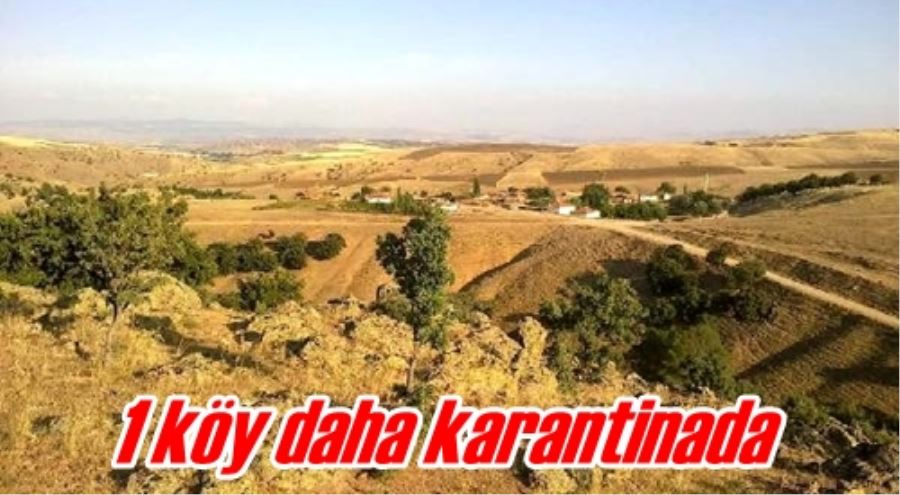 1 köy daha karantinada