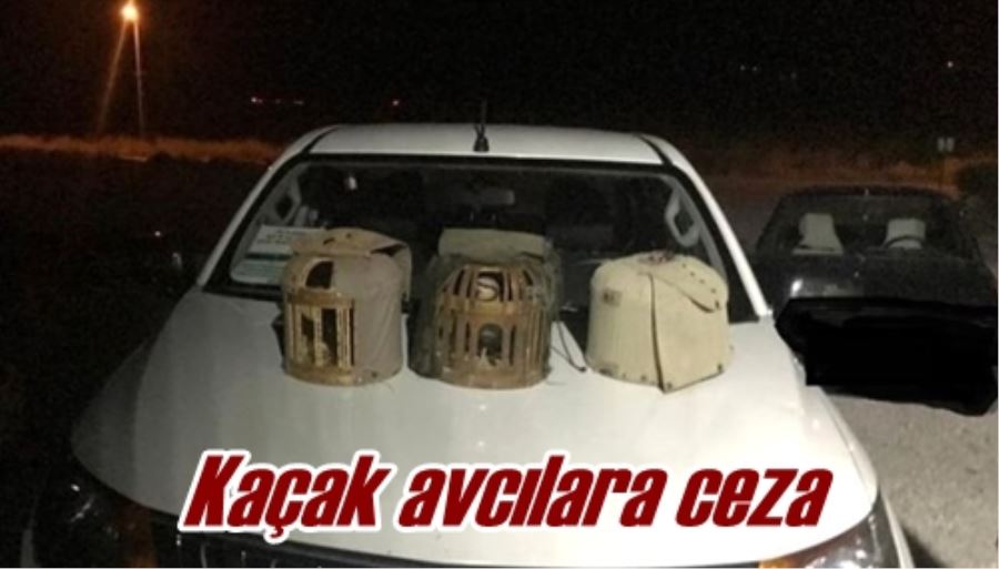 Kaçak avcılara ceza